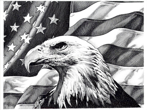 Eagles and Flag Poster
